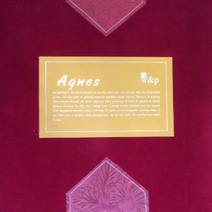 البوم کاغذ دیواری اگنس (AGNES)